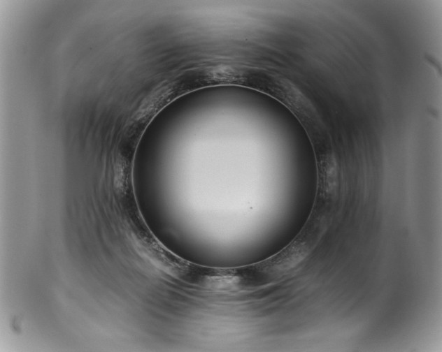 X0000100340266200806051545