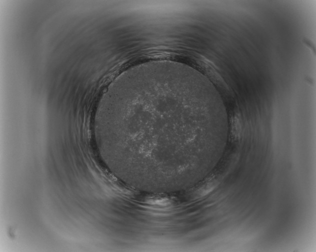 X0000100340267200806051545