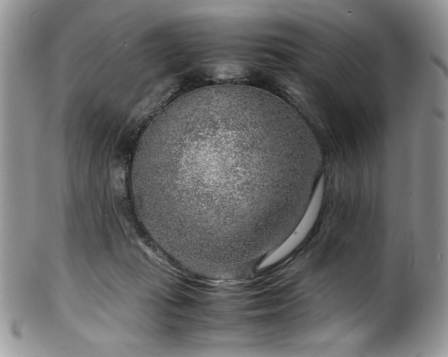 X0000100340269200806051545