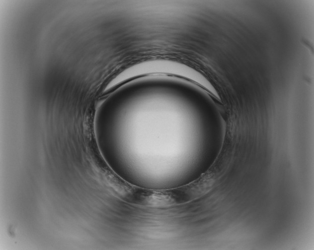 X0000100340270200806051545