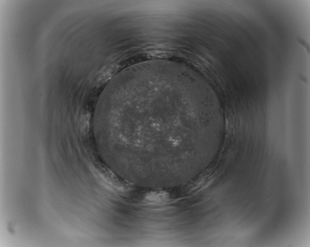 X0000100340271200806051545