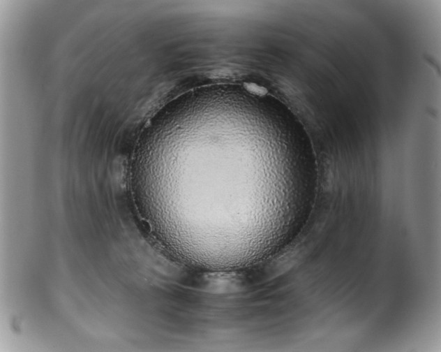 X0000100340273200806051545