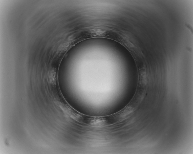 X0000100340274200806051545