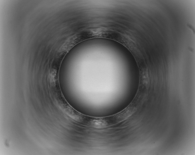 X0000100340275200806051545