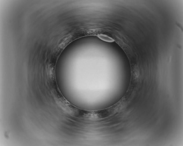 X0000100340276200806051545
