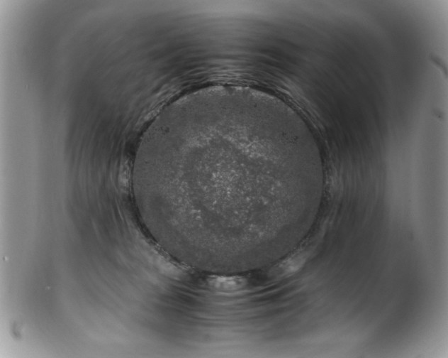 X0000100340277200806051545