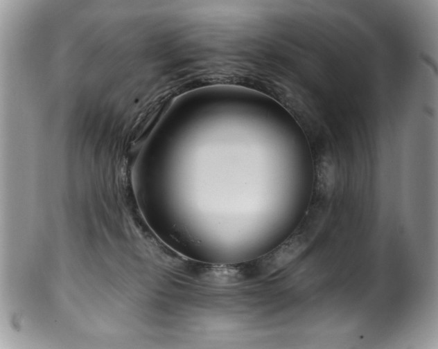 X0000100340278200806051545