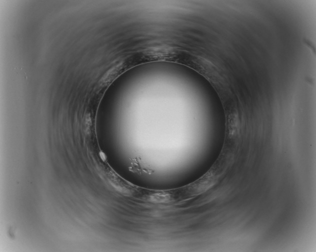 X0000100340279200806051545