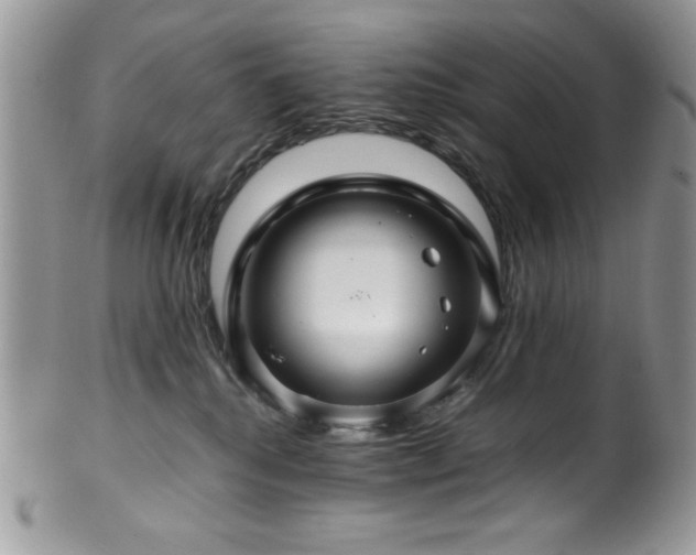 X0000100340280200806051545