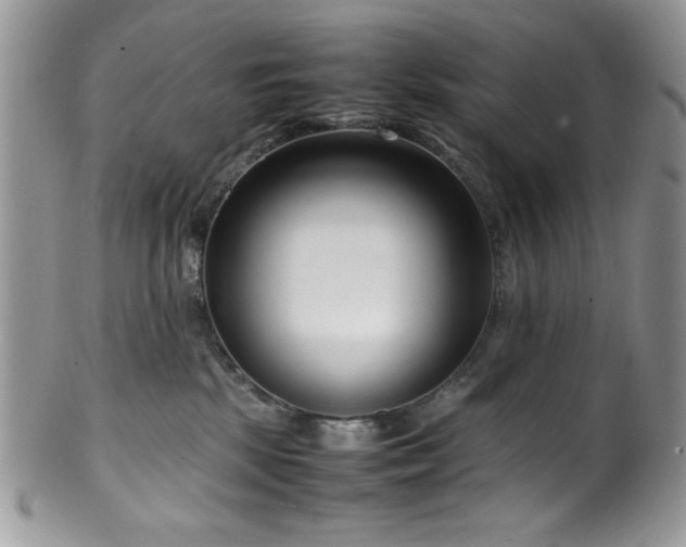 X0000100340281200806051545