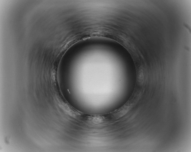 X0000100340282200806051545