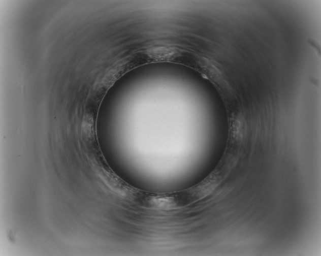 X0000100340283200806051545