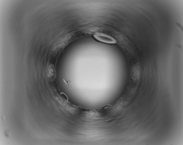 X0000100340284200806051545