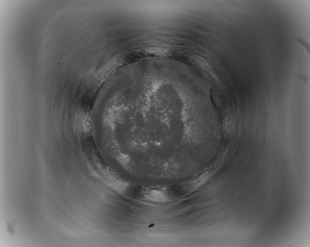 X0000100340285200806051545