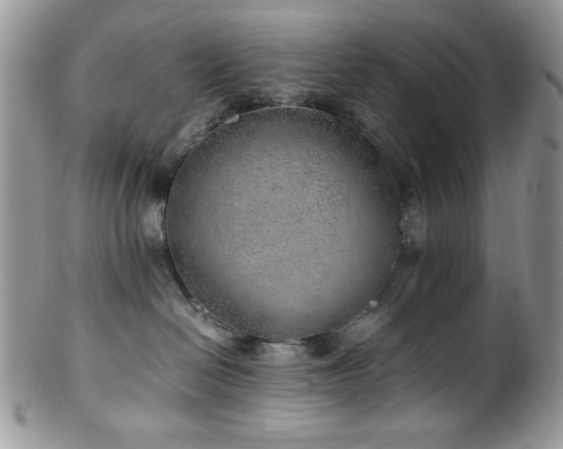 X0000100340286200806051545