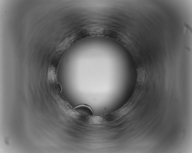 X0000100340287200806051546