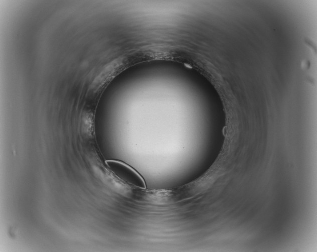 X0000100340288200806051546