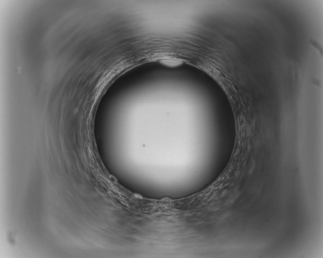 X0000100340289200806051545