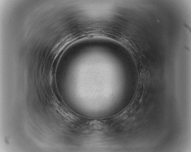 X0000100340290200806051545