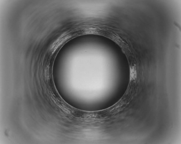 X0000100340291200806051545