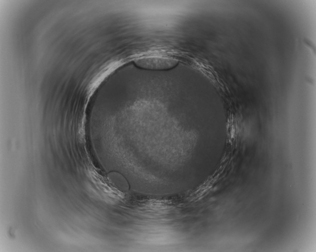 X0000100340292200806051545