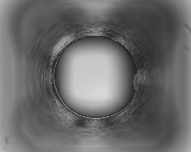 X0000100340293200806051545