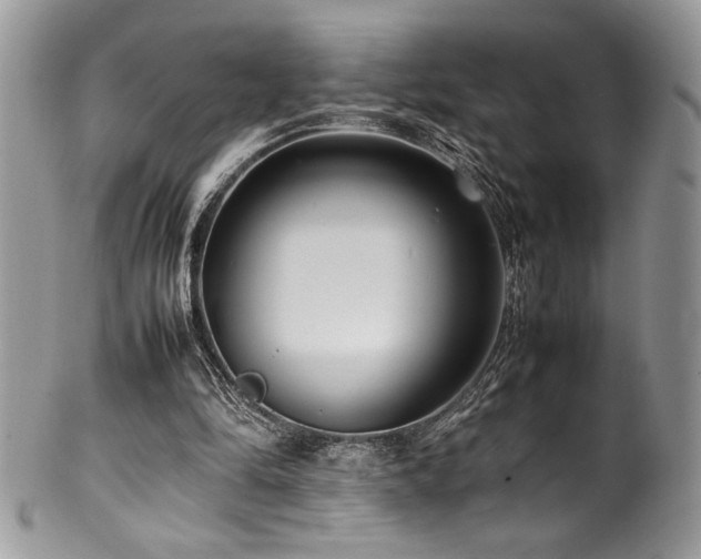 X0000100340294200806051545
