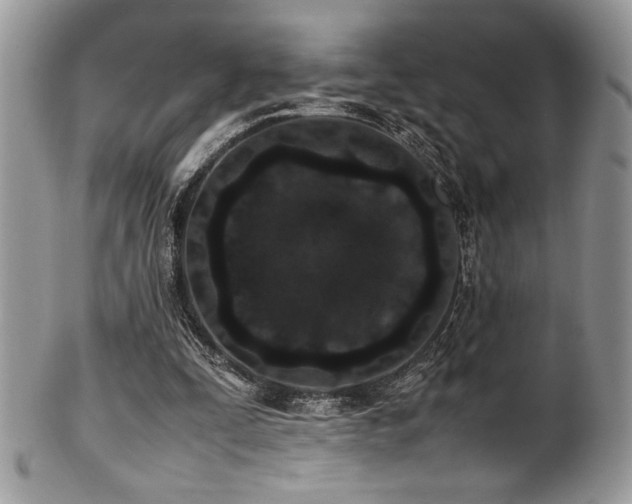 X0000100340295200806051545