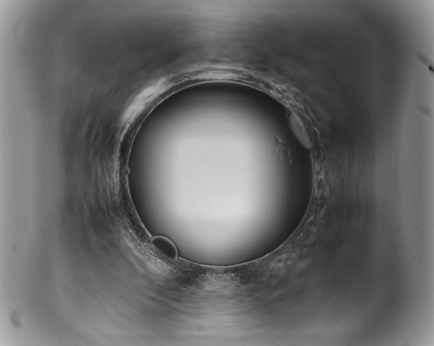 X0000100340296200806051545