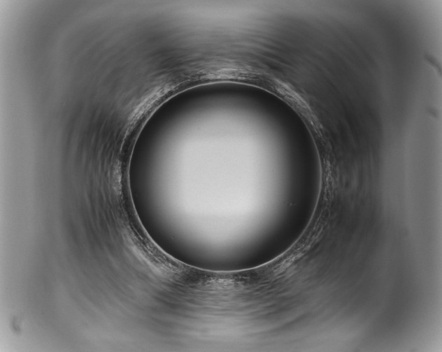 X0000100340298200806051545