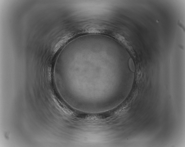 X0000100340299200806051545