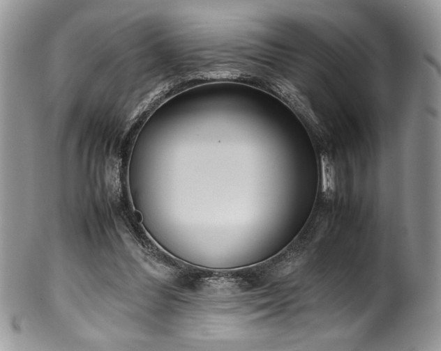 X0000100340300200806051545