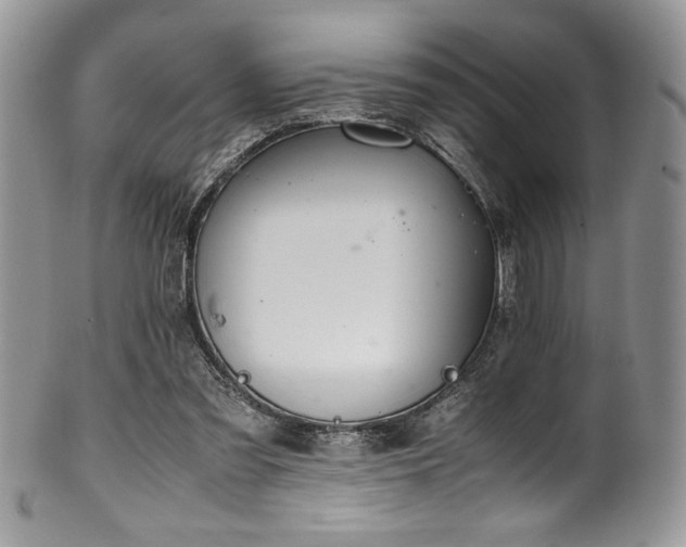 X0000100340301200806051545