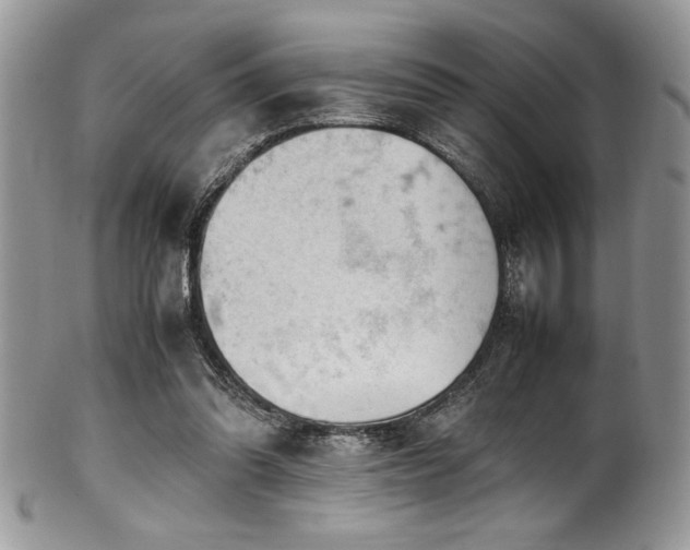X0000100340302200806051545