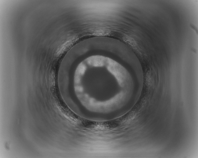 X0000100340303200806051545