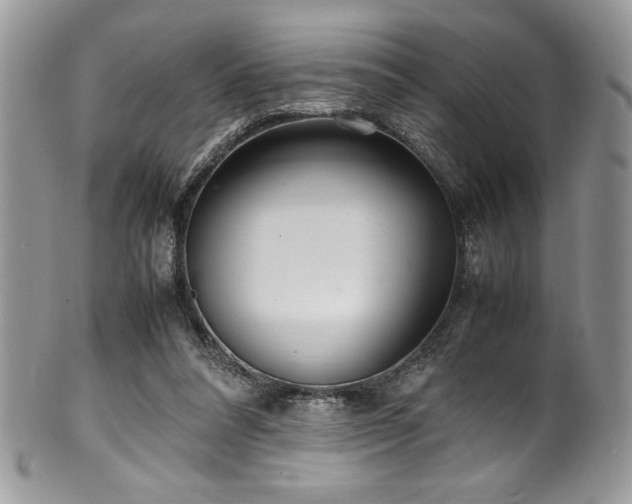 X0000100340304200806051545