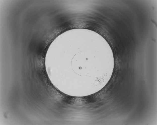 X0000100340305200806051545
