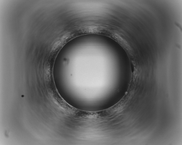X0000100340306200806051545