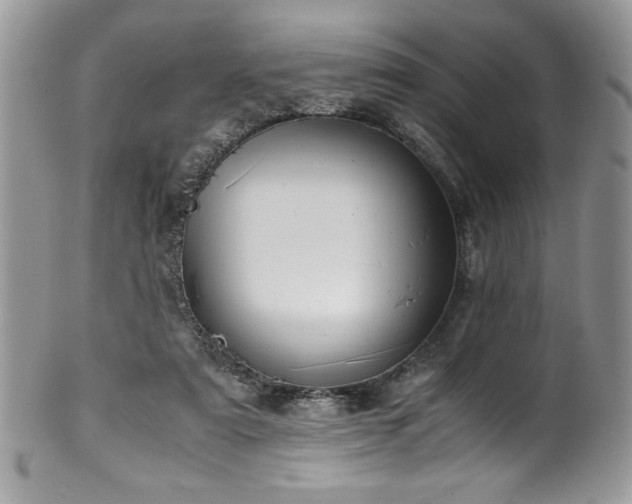 X0000100340307200806051544