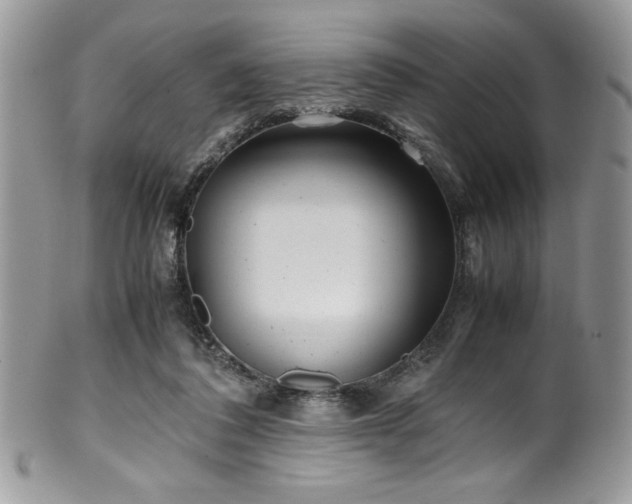 X0000100340308200806051544