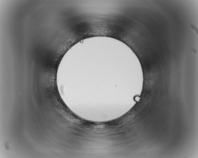 X0000100340309200806051544