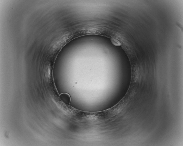 X0000100340310200806051544