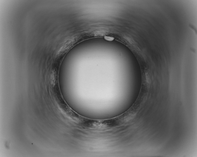 X0000100340311200806051544