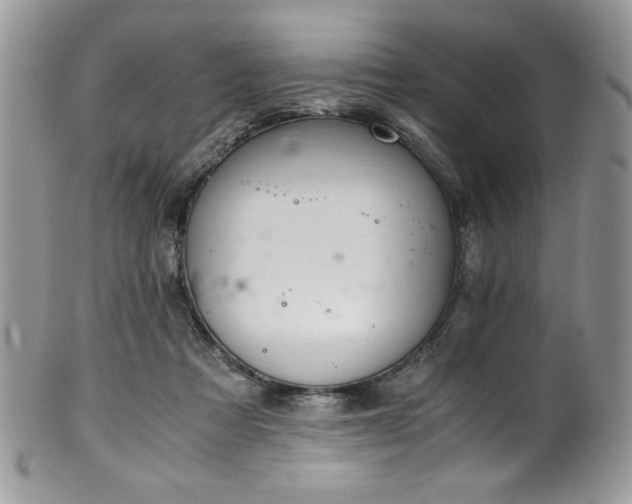 X0000100340313200806051544