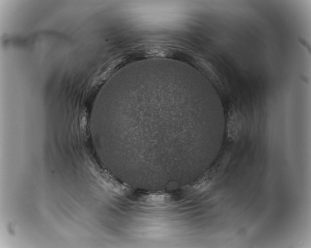 X0000100340314200806051544