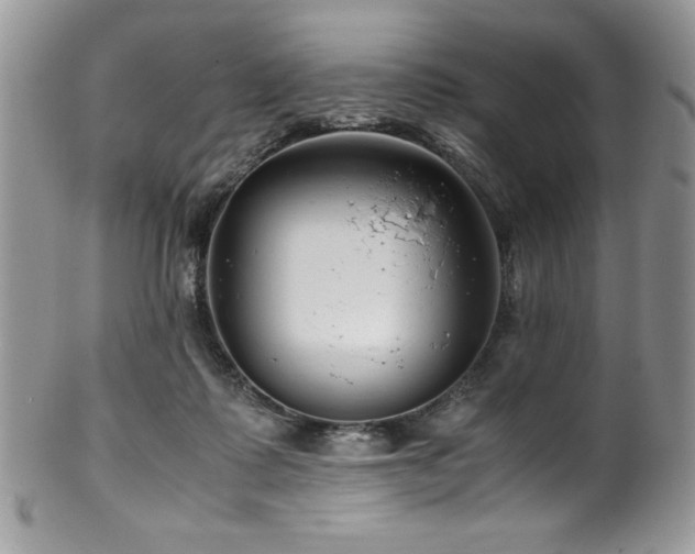 X0000100340315200806051544