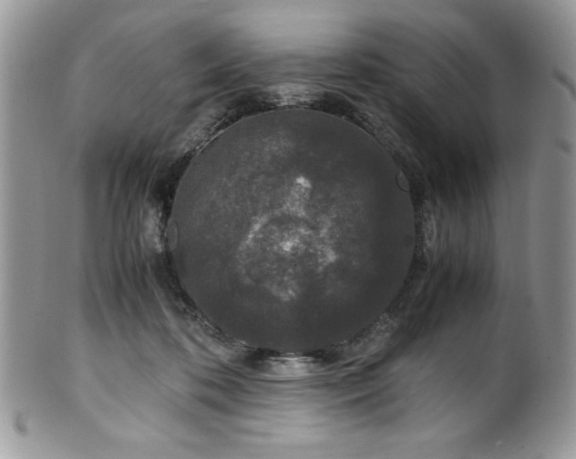 X0000100340316200806051544