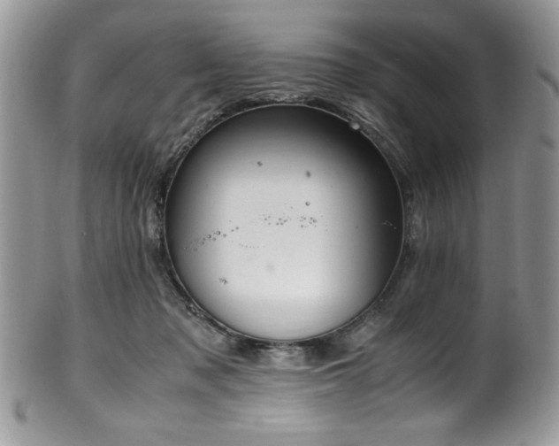 X0000100340317200806051544