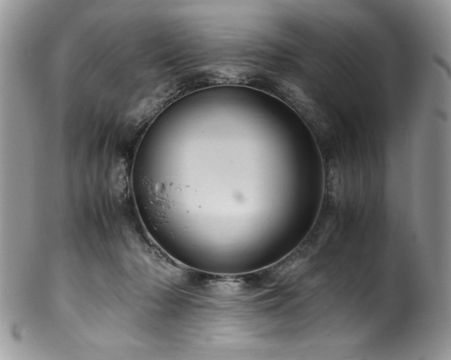 X0000100340318200806051544
