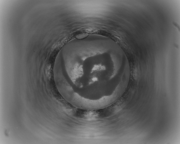 X0000100340319200806051544
